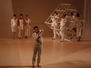 Vở múa "Ký ức thở dài" được đoàn múa Nơi đến công diễn lần đầu tiên vào 19/12/2009 tại Nhà hát Tuổi Trẻ, Hà Nội. (Ảnh: Phương Hoa/TTXVN)