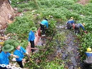 Một hoạt động của sinh viên tình nguyện. (Ảnh: Doanthanhnien.vn).