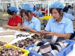 Công ty 100% vốn Hàn Quốc Doo Jung Việt Nam tại Khu công nghiệp Phú Nghĩa, Hà Nội. (Ảnh: Danh Lam/TTXVN).