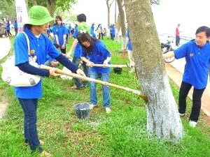 (Ảnh minh họa: Mạnh Hùng/Vietnam+)