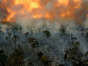 Cháy rừng - một trong những nguyên nhân tạo ra khí cácbon đen. (Nguồn: khoahoc.com.vn)