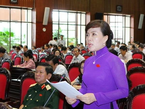 Đại biểu Quốc hội thành phố Đà Nẵng Nguyễn Thị Kim Thúy phát biểu ý kiến. (Ảnh: Dương Giang/TTXVN)