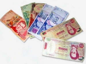 Đồng bolivar. (Nguồn: Internet)