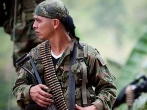 Quân du kích của FARC. (Nguồn: AFP)