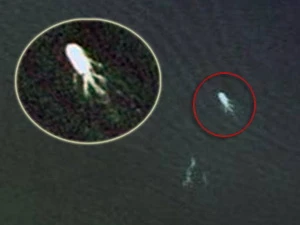 Hình ảnh thuỷ quái hồ Loch Ness được chụp qua Google Earth.(Ảnh: Internet).