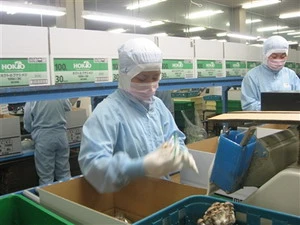 Lao động Việt Nam làm việc trong một nhà máy ở Nhật Bản. (Nguồn: Báo Lao Động)