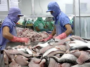 Chế biến cá tra/basa filet xuất khẩu tại Nhà máy thủy sản sông Tiền (Đồng Tháp). (Ảnh: Đình Huệ/TTXVN)