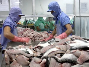 Chế biến cá tra/basa filet xuất khẩu tại Nhà máy thủy sản sông Tiền (Đồng Tháp). (Ảnh: Đình Huệ/TTXVN)