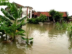 Đến chiều 2/10, nhiều vùng dân cư ở huyện Quỳnh Lưu vẫn đang ngập trong nước. (Ảnh: Nguyễn Văn Nhật/TTXVN)