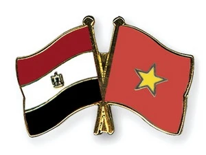 Ảnh minh họa. (Nguồn: crossed-flag-pins.com)