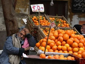 Một người bán cam trên đường phố Cairo. Ảnh minh họa. (Nguồn: globalpost.com)