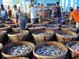 Một chợ cá ở Indonesia. (Nguồn: antaranews.com)