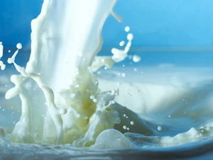 EU hạn chế mức hỗ trợ đối với ngành sữa