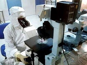 Nghiên cứu tế bào gốc trong phòng thí nghiệm. (Ảnh: AFP)