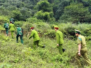 Lực lượng biên phòng và công an tỉnh Hà Tĩnh phối hợp với Công an Lào tuần tra chung trên tuyến biên giới Cửa khẩu Cầu Treo. (Ảnh: Doãn Tấn/TTXVN)