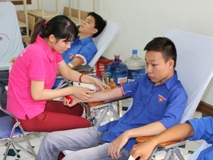Các bạn trẻ tham gia hiến máu nhân đạo. (Ảnh: Thanh Tùng/TTXVN)