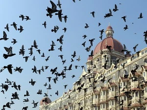 Người dân Ấn Độ thả chim bồ câu hòa bình bên ngoài Khách sạn Taj Mahal nhân 1 năm xảy ra vụ khủng bố tại đây. (Ảnh: AFP/TTXVN)
