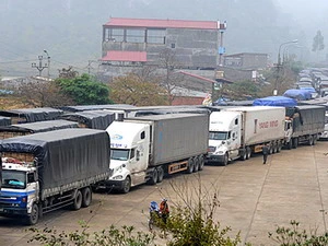 Cửa khẩu Tân Thanh thường xuyên xảy ra tình trạng xe nối dài chờ làm thủ tục xuất hàng. (Ảnh: Song Toàn/TTXVN)