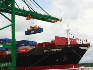 Đưa container lên tàu đi trực tiếp từ cảng SP-PSA (Bà Rịa-Vũng Tàu). (Nguồn: Tuổi Trẻ)