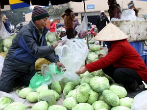Mua bán rau tại chợ đầu mối phía Nam Hà Nội. (Ảnh: An Đăng/TTXVN)