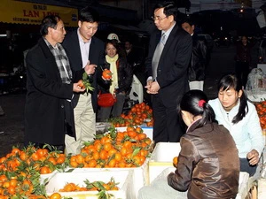 Kiểm tra an toàn vệ sinh thực phẩm tại chợ đầu mối Long Biên tối 12/1/2012. (Ảnh: Dương Ngọc/TTXVN)