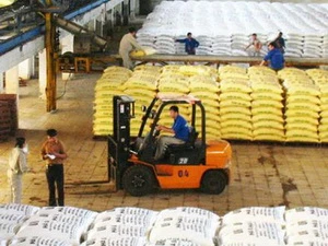 Bốc xếp vận chuyển sản phẩm vào kho ở Công ty phân đạm Hà Bắc, Bắc Giang. (Nguồn: Nhandan.org.vn)