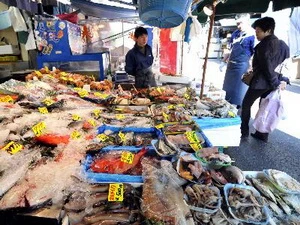 Các loại cá khác nhau được bày bán tại một cửa hàng ở Tokyo. (Nguồn: AFP/TTXVN)