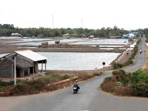 Một vùng nuôi trồng thủy sản tại Trà Vinh. (Ảnh: Đình Huệ/TTXVN)