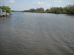 Sông Trẹm - Cà Mau. (Nguồn: Internet)