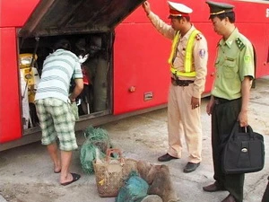 Lực lượng chức năng phát hiện 6 cá thể khỉ đuôi lợn còn sống trong xe khách BKS 51B-019.49. (Nguồn: baothuathienhue.vn)