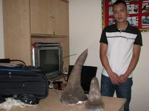 Đối tượng vận chuyển 7,28kg sừng tê giác bị Hải quan Tân Sơn Nhất bắt giữ. (Ảnh: Hoàng Hải/Vietnam+)