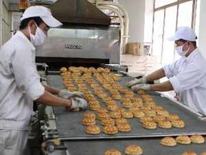 Sản xuất bánh Trung Thu tại Công ty Hải Hà - KOTOBUKI. (Nguồn: TTXVN)
