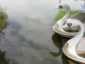 Hiện trường vụ chết đuối trong hồ sinh thái ở Gia Lâm. Ảnh minh họa. (Ảnh: Sơn Bách/Vietnam+)