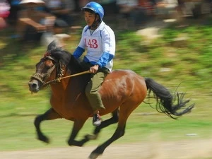 Giải đua ngựa Bắc Hà mở rộng năm 2010. (Ảnh: Kim Phương/TTXVN)