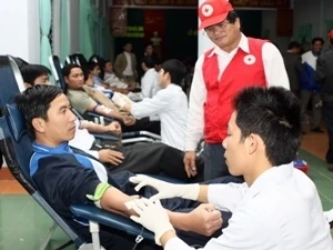 Thanh niên hiến máu nhân đạo. Ảnh minh họa. (Nguồn: TTXVN)