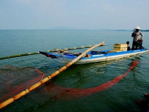 Báo động tình trạng tận diệt thủy sản ở Bình Thuận 