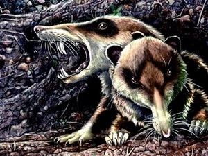 Hình ảnh phục dựng về loài sóc răng kiếm. (Nguồn: National Geographic)