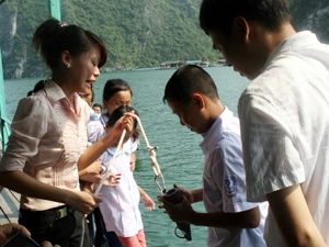 Giáo viên làng chài Cửa Vạn dạy học trò cách dùng đĩa Secchi đo độ trong của nước biển. (Ảnh: Trung Hiền/Vietnam+)