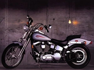 Harley Davidson. (Nguồn: Internet)