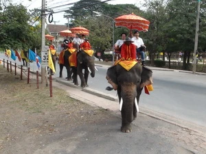 Đàn voi chở du khách đi dạo trên một đoạn của khu phố cổ. (Ảnh: Ngọc Tiến/Vietnam+)