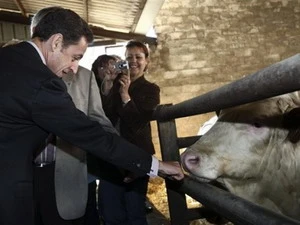 Tổng thống Pháp Nicolas Sarkozy thăm một trang trại ở Rahon, phía đông nước Pháp hôm 27/10. (Ảnh: AP)