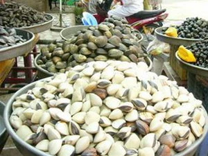 Giá nghêu tăng hơn 3.000 đồng/kg so với cùng kỳ năm trước. (Ảnh minh họa. Nguồn: Internet)