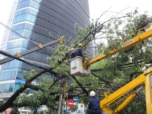 Mưa lớn là cây đỏ. (Ảnh: Hoàng Tuấn/VIetnam+)