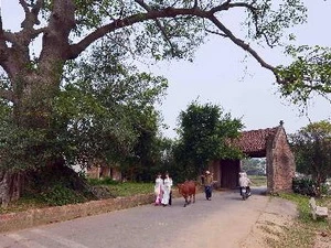 Cổng làng Đường Lâm. (Ảnh: Thanh Hà/TTXVN)