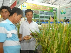 Khách tham quan gian hàng một đơn vị sản xuất lúa gạo. (Ảnh minh họa; Thanh Vũ/TTXVN)