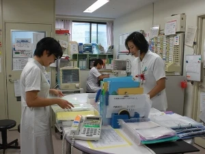 Công việc của điều dưỡng viên, hộ lý tại Nhật Bản. (Nguồn: Dolab.gov.vn)