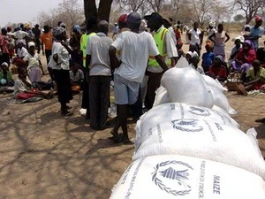 WFP đang nỗ lực cùng với Chính phủ Zimbabwe hỗ trợ lương thực cho người dân. (Nguồn: UN/WFP)