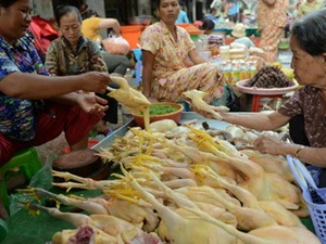 Gia cầm được bày bán tại một chợ ở Campuchia (Nguồn: Getty)