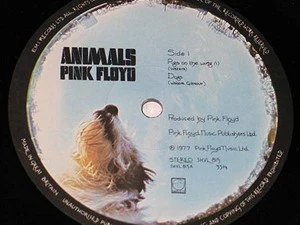 Album "Animals" của Pink Floyd. (nguồn: Internet)