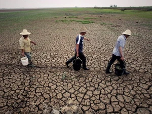 Người nông dân ở Hồ Bắc đang phải vật lộn với hạn hán. (Nguồn: Getty Images)